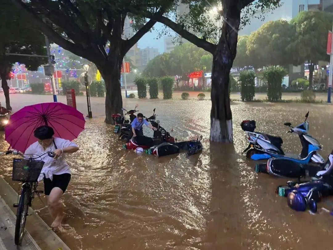 1757300475374015140.jpg 2.jpg